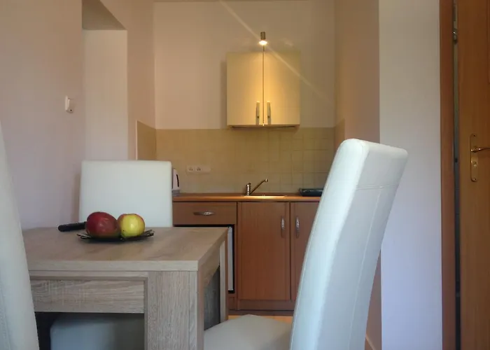 Homestay Przy Lesie *